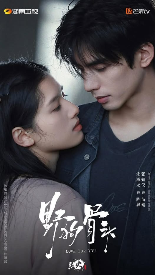 Love For You Chinese Drama