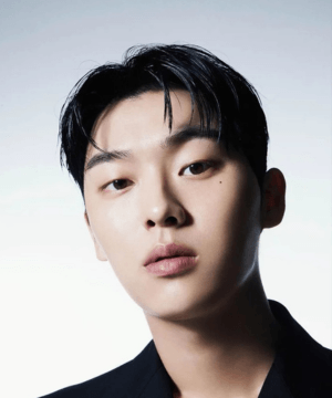 Choi Hyun-wook Korean Actor